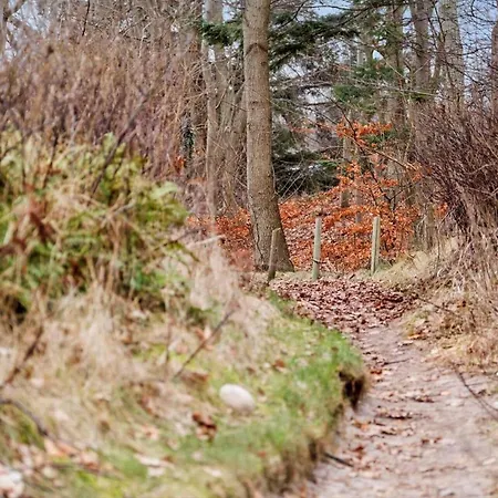 1502-n-dronningmolle-molledalen-5